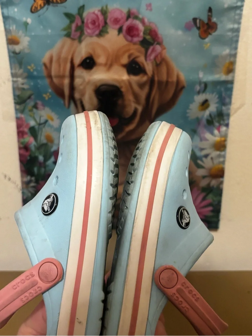 CROCS Kids Light Blue Clogs with Pink Strap